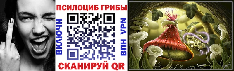 купить  сайты  Тосно  Псилоцибиновые грибы GOLDEN TEACHER 
